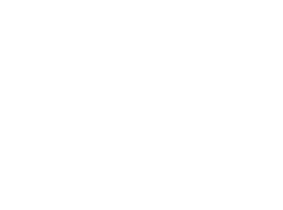 LANG Immobilien Frankfurt